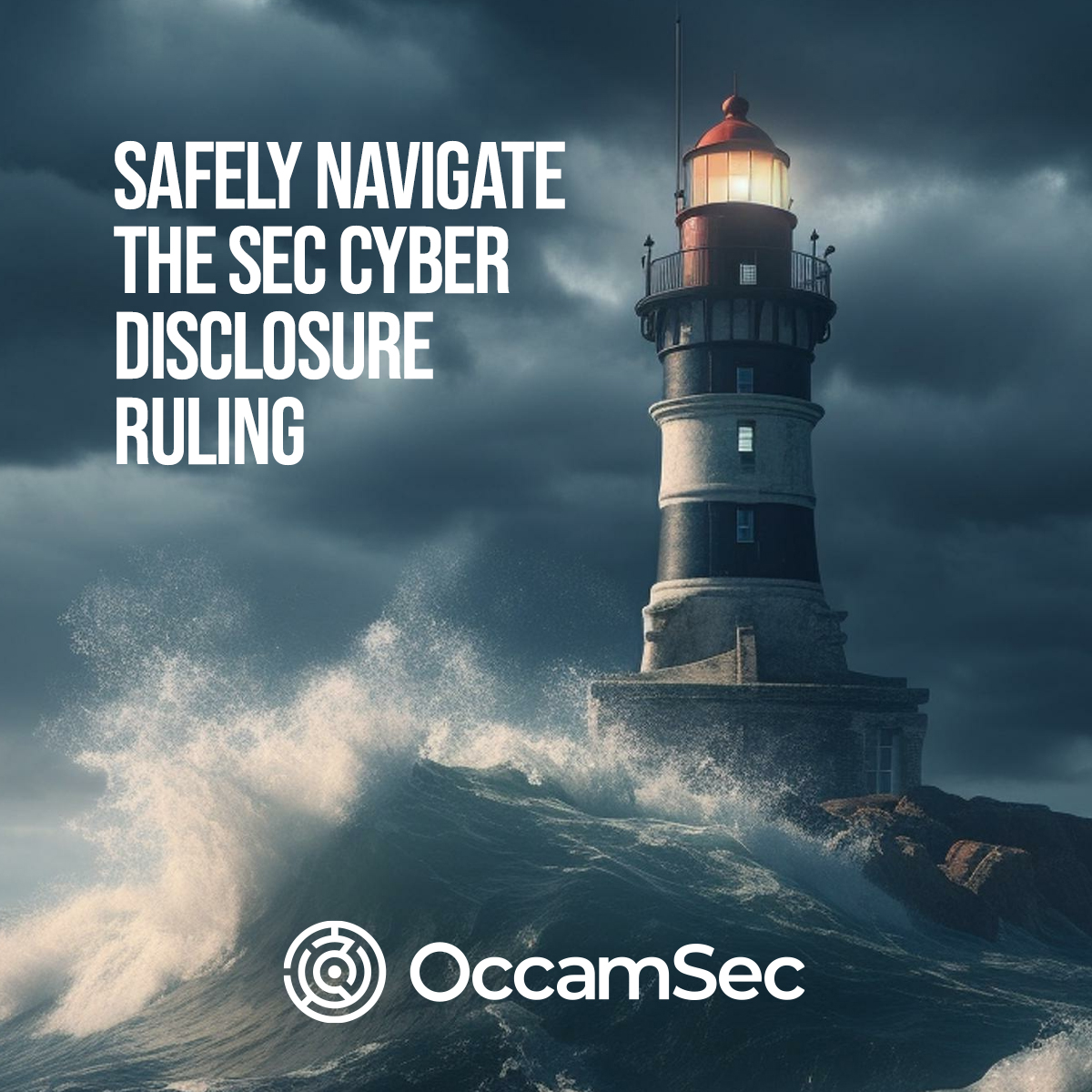 Navigating The Sec Cybersecurity Risk Management Rules Occamsec